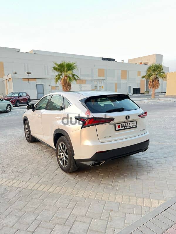 Lexus NX 300 2020 Full Panorama First Owner Very Clean Condition 5