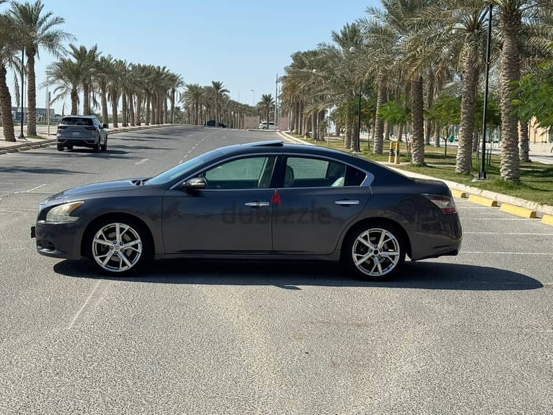 Nissan Maxima 2012 grey 2