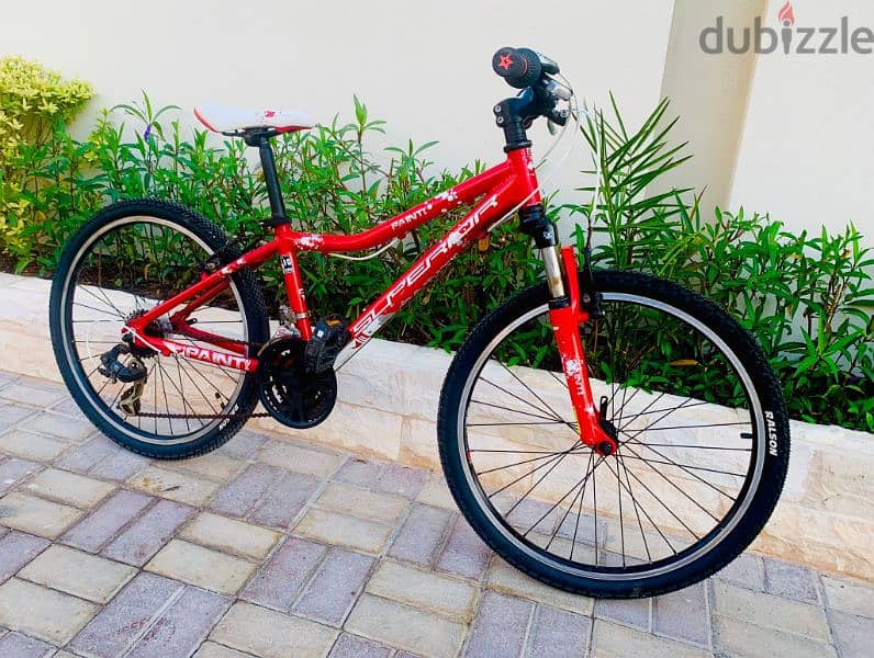 24" Branded MTB (Superior) 3