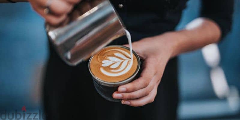 Barista Opportunity 0