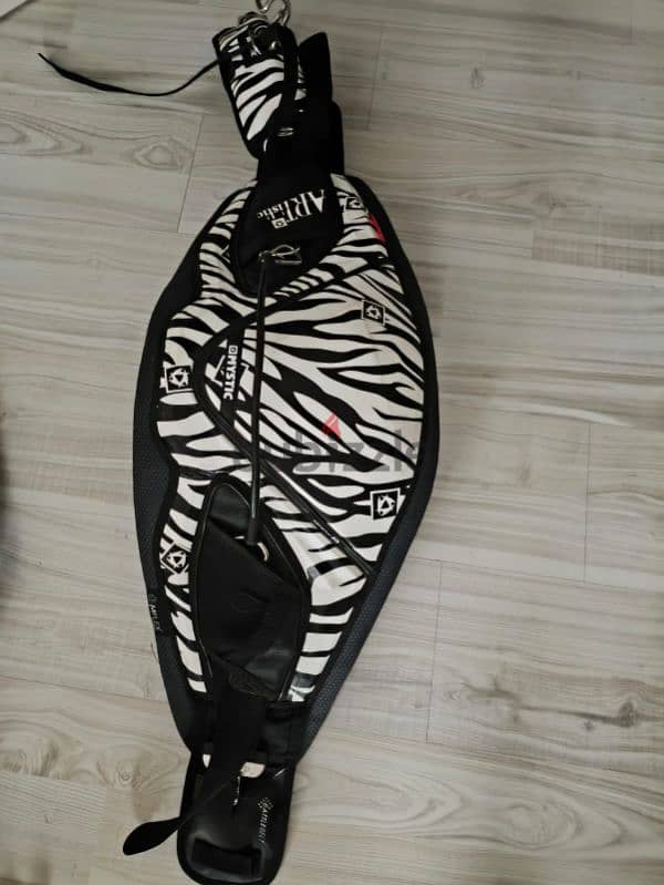 kite for Kitesurfing and all gears available 6