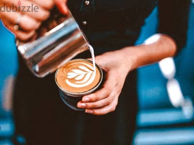 Barista Opportunitie