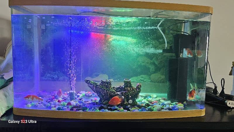 Aquarium full set with fish 1