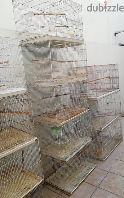 Bird cages  اقفاص للبيع