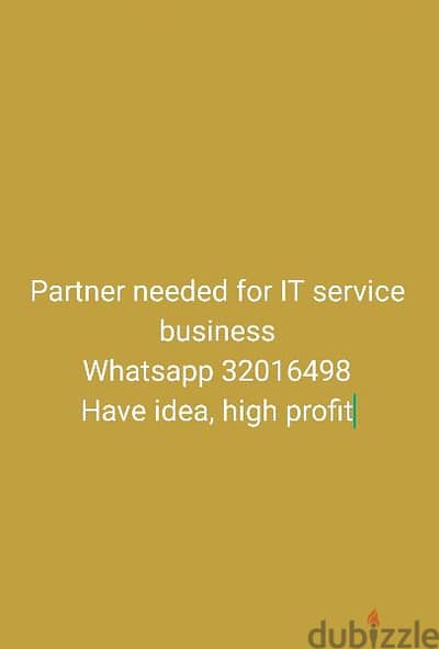 looking partner for IT services