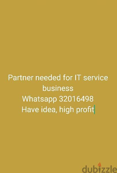 looking partner for IT services 0