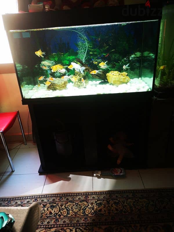 fish tank with stand 2