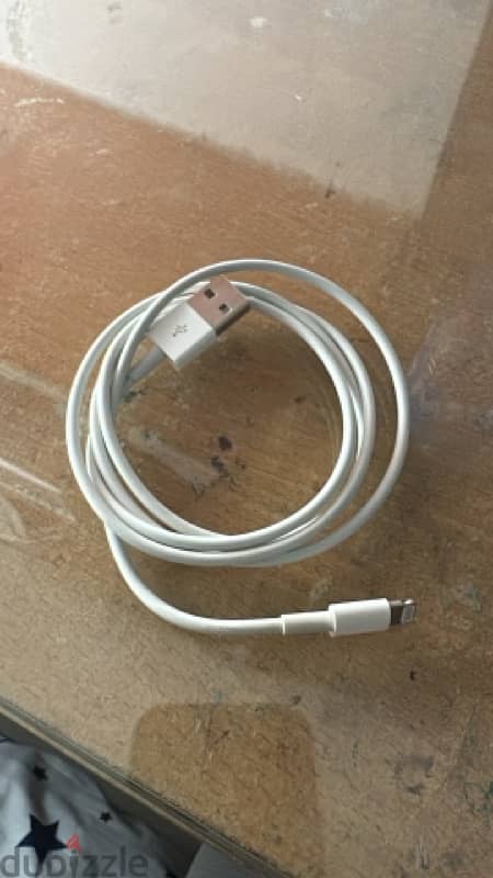 Apple Original charger and cable  10 w 1