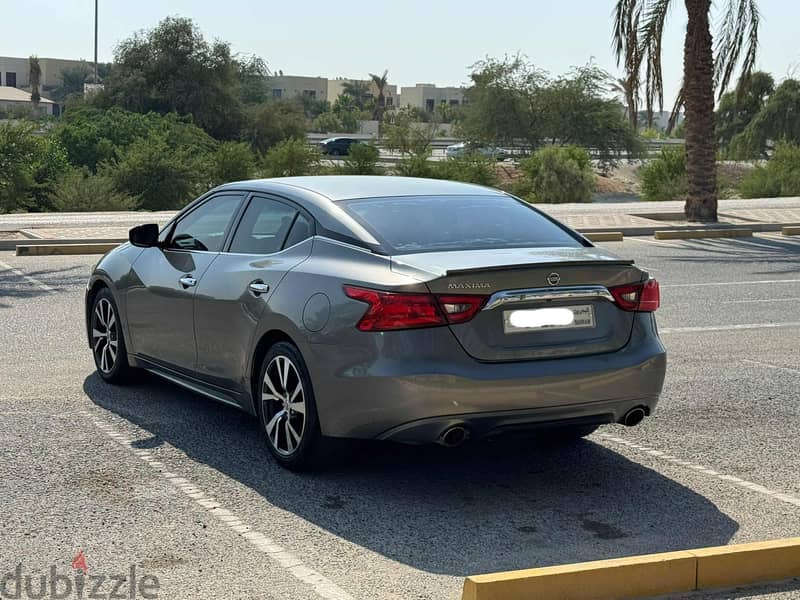 Nissan Maxima 2016 grey 6