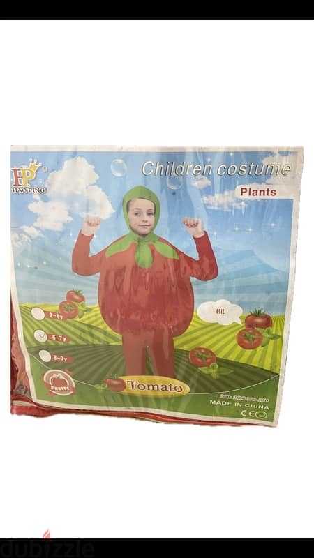 Kids healthy food costume 1