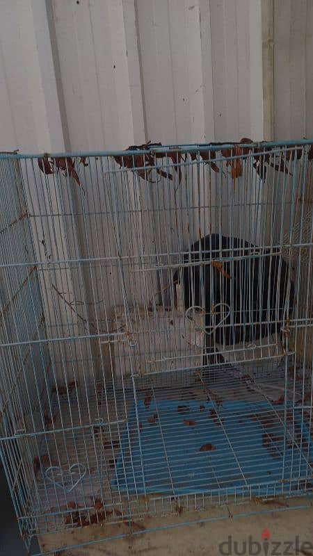 for sale nw cage 0