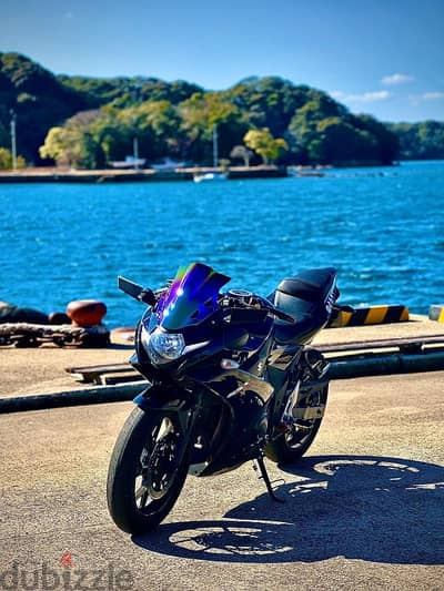 Suzuki gsxr 250