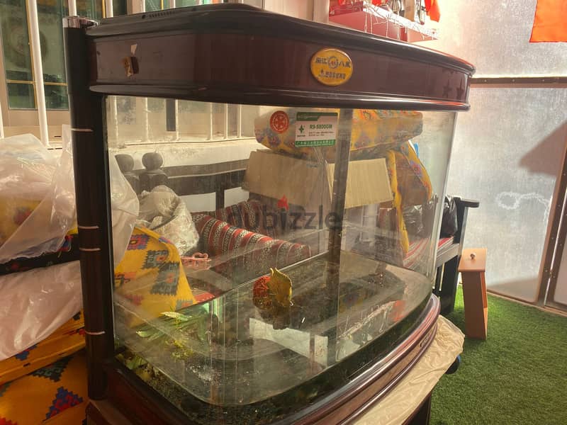 حوض سمك fish tank 0