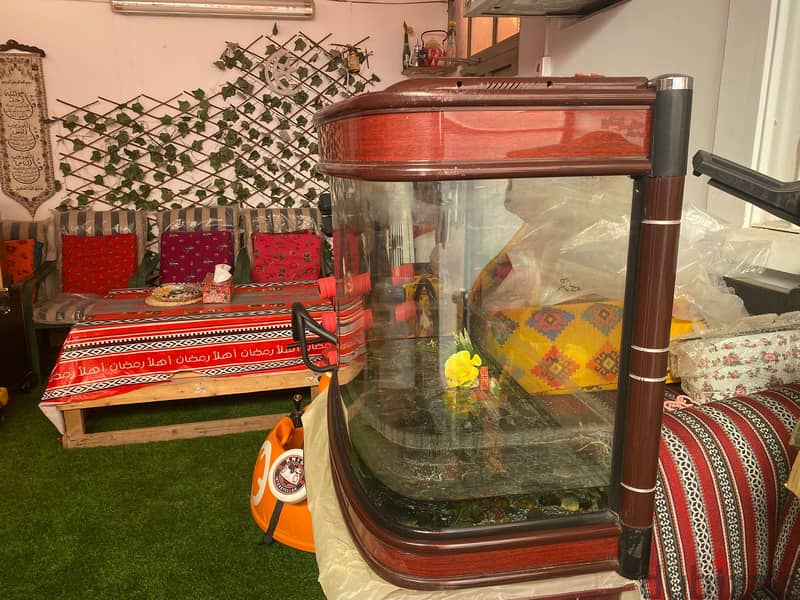 حوض سمك fish tank 1