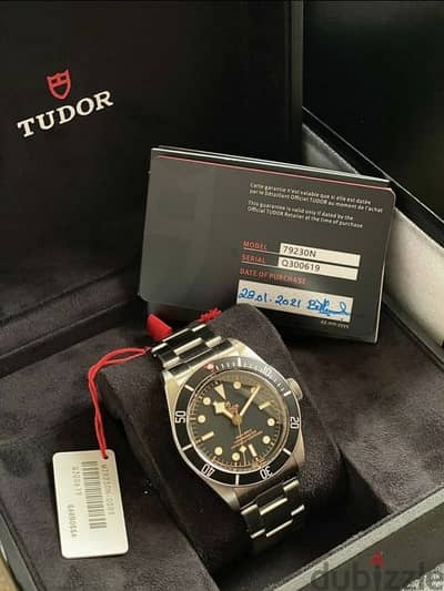 Tudor