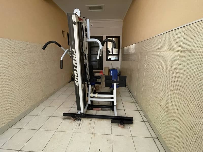 proteus home gym including legs 3