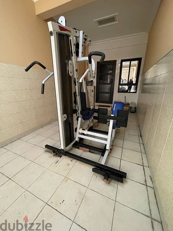 proteus home gym including legs 6