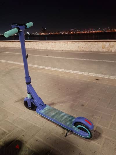 Electric scooter