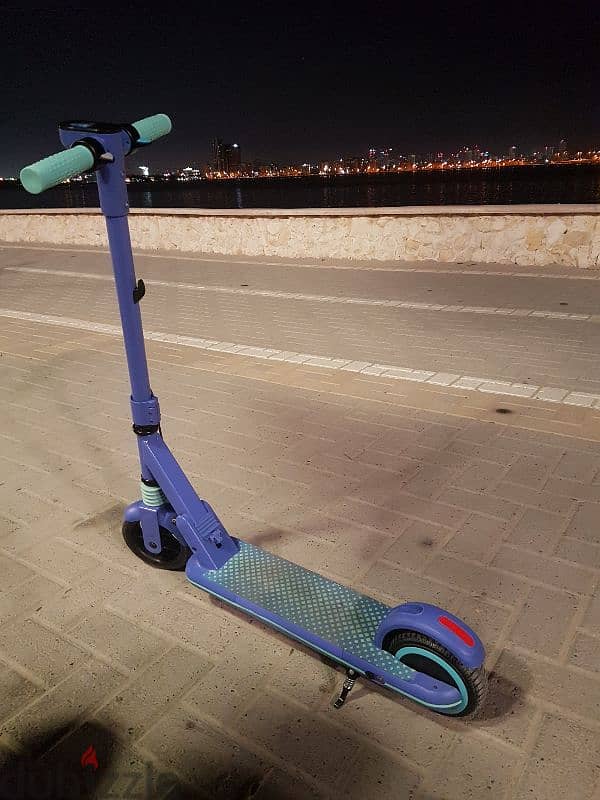 Electric scooter 0