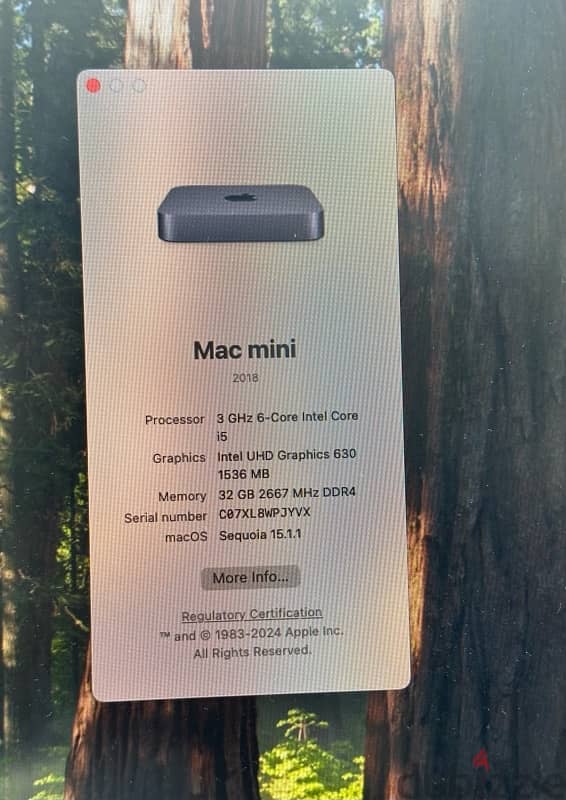 used mac mini 256 gb i5 processor 32 gb RAm 0