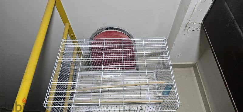 bird cage 0