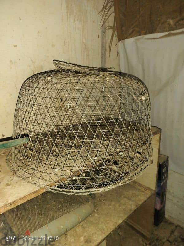 cage for sale 5 dinar 0