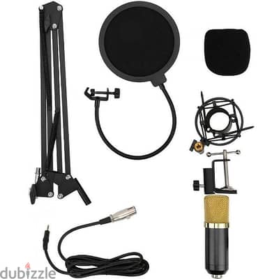 Lightweight Condenser Microphone for Individual Recording for Singers