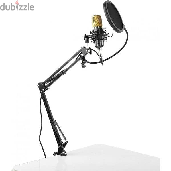 Lightweight Condenser Microphone for Individual Recording for Singers 1