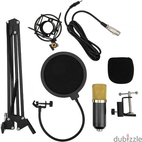 Lightweight Condenser Microphone for Individual Recording for Singers 2