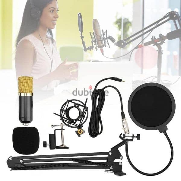 Lightweight Condenser Microphone for Individual Recording for Singers 4