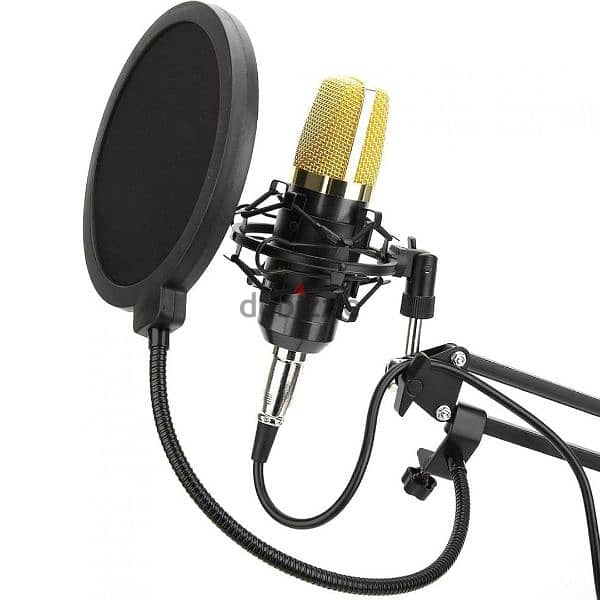 Lightweight Condenser Microphone for Individual Recording for Singers 5