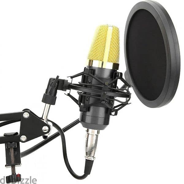 Lightweight Condenser Microphone for Individual Recording for Singers 6