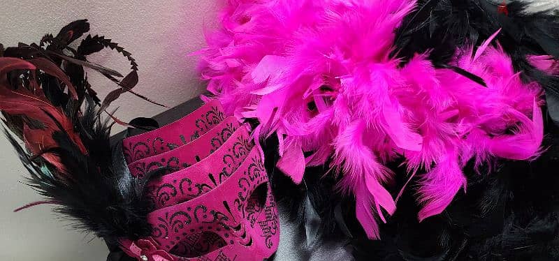 Hot Pink Masquerade Mask with Side Feathers 1