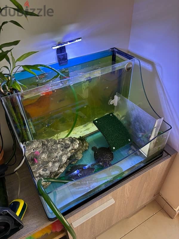 Aquarium with fishes and complete accessories 0