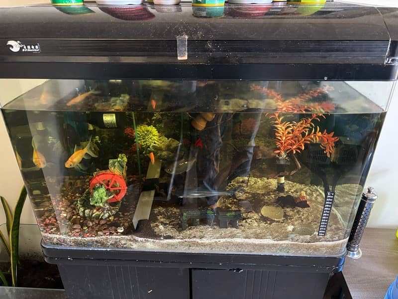 Aquarium Complete Set For Sale 0