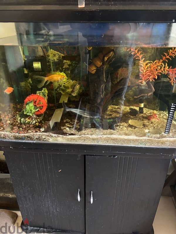 Aquarium Complete Set For Sale 2