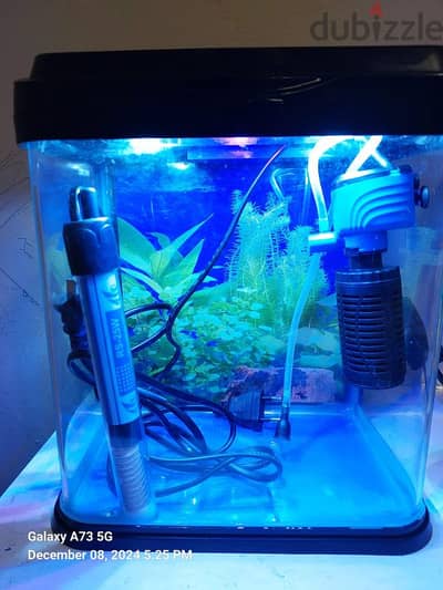 small fish tank