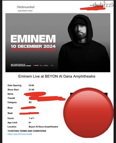 Eminem ticket Section B