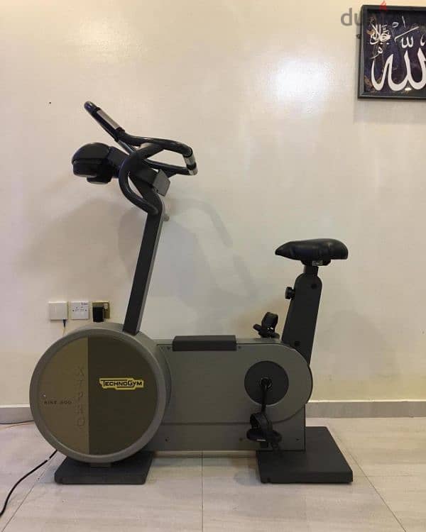 Heavy-duty Technogym Exercise Bike 1