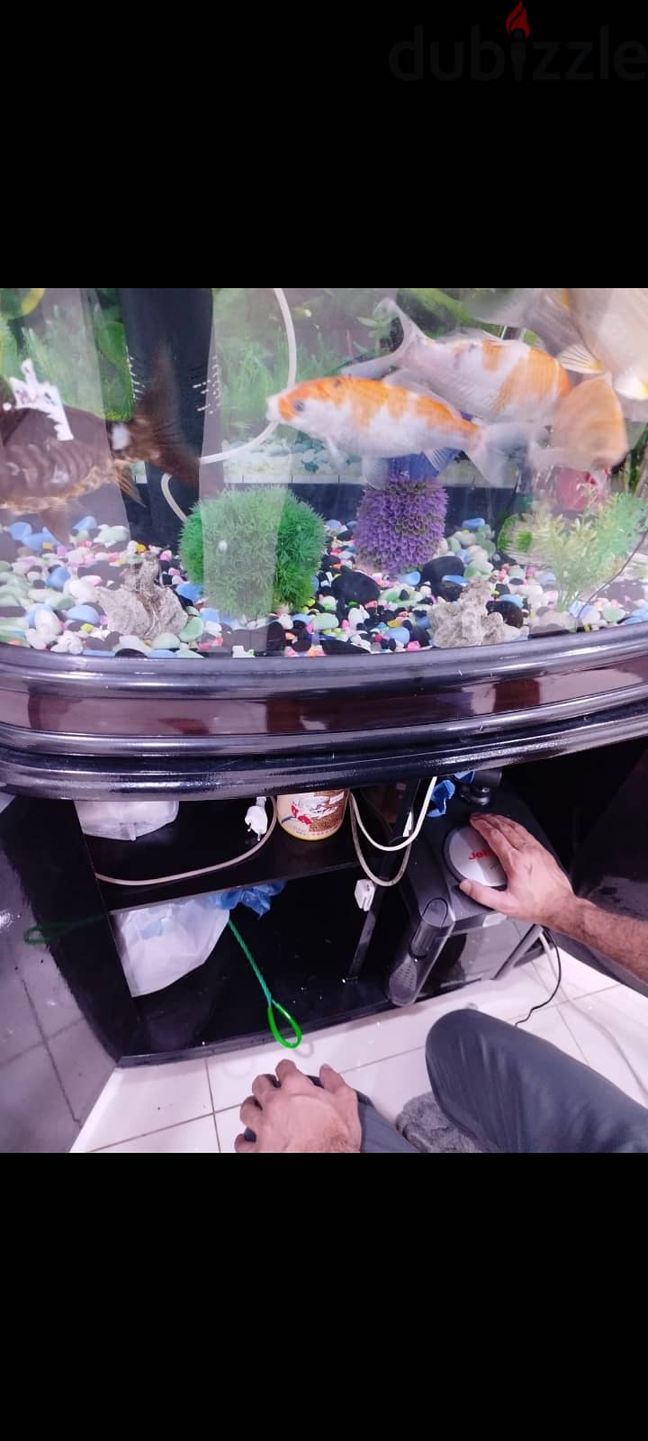 Fish aquarium for sell Included 7 fish only 65 bhd 1