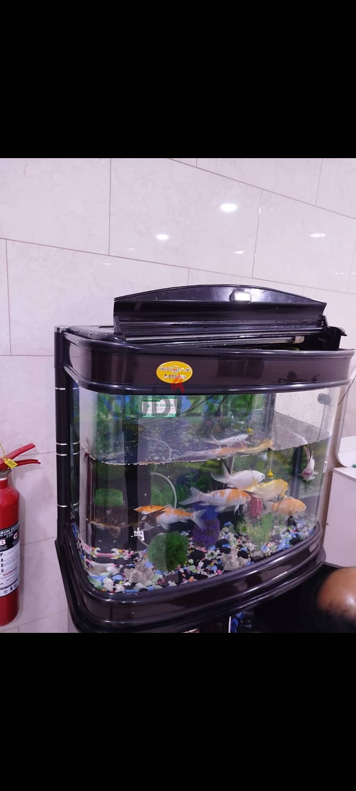 Fish aquarium for sell Included 7 fish only 65 bhd 2