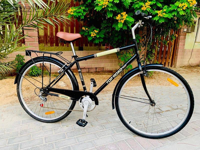 29" Hybrid Bike 1