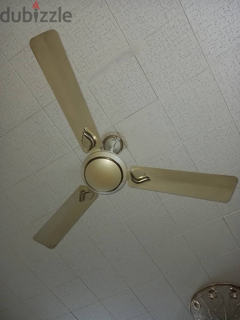 2 ceiling fans 0