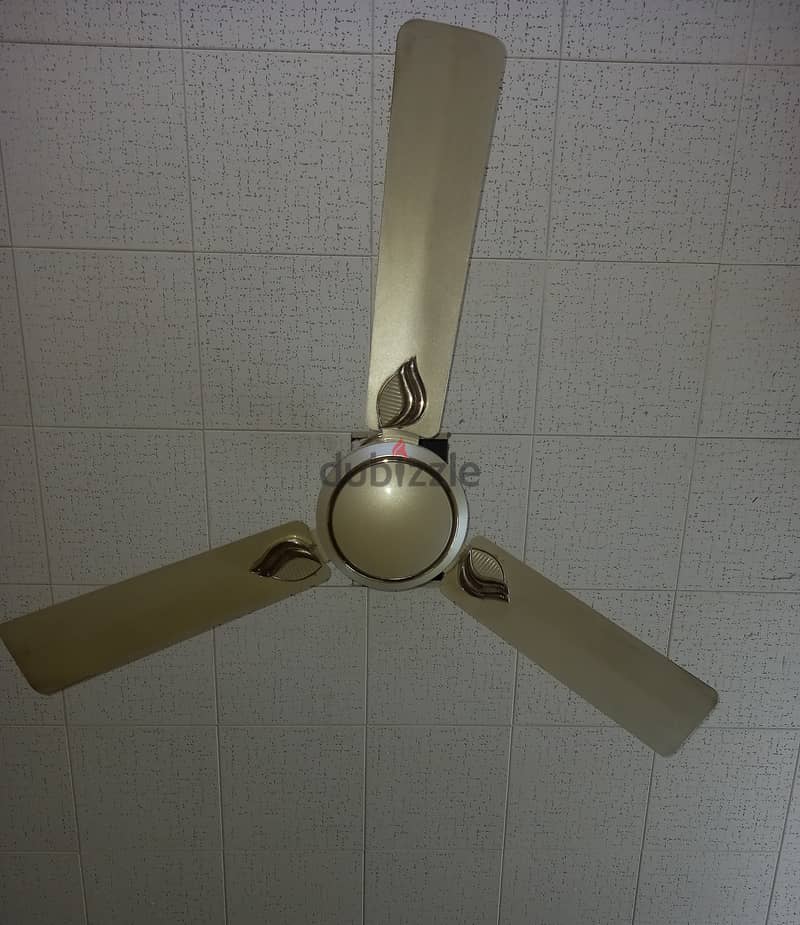 2 ceiling fans 1