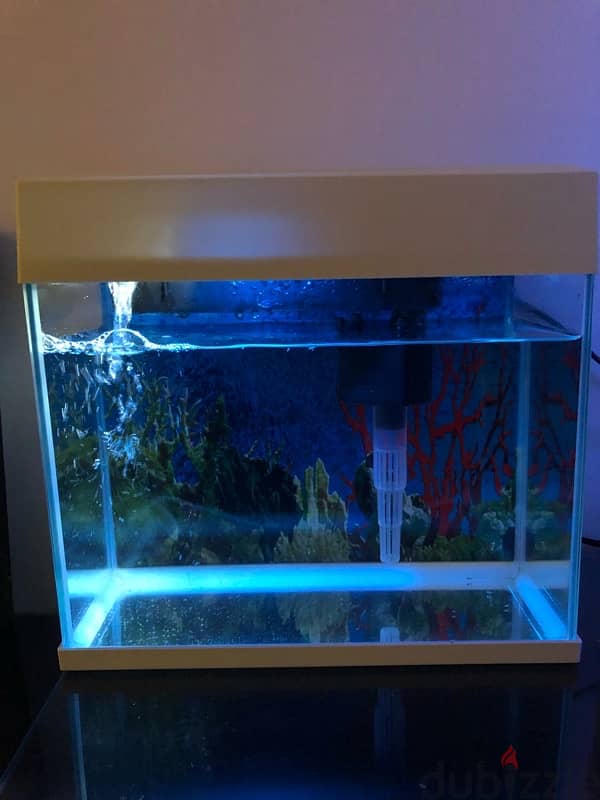 Aquarium 0