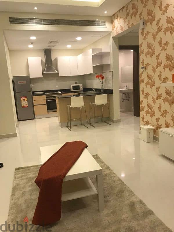 FF apartment for rent 3