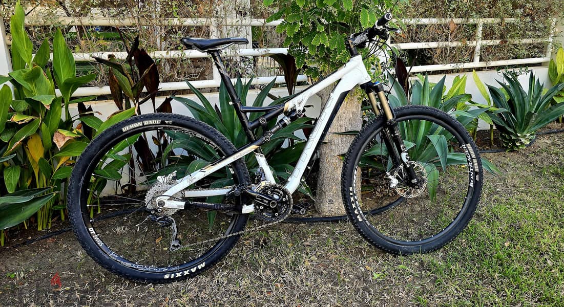 Mountain Bike Gary Fisher 29er Size L 0