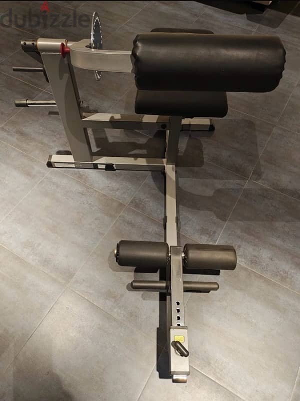 treadmill , rowing machine , abs and back machine 0