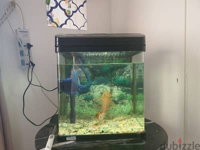 Aquarium for sale