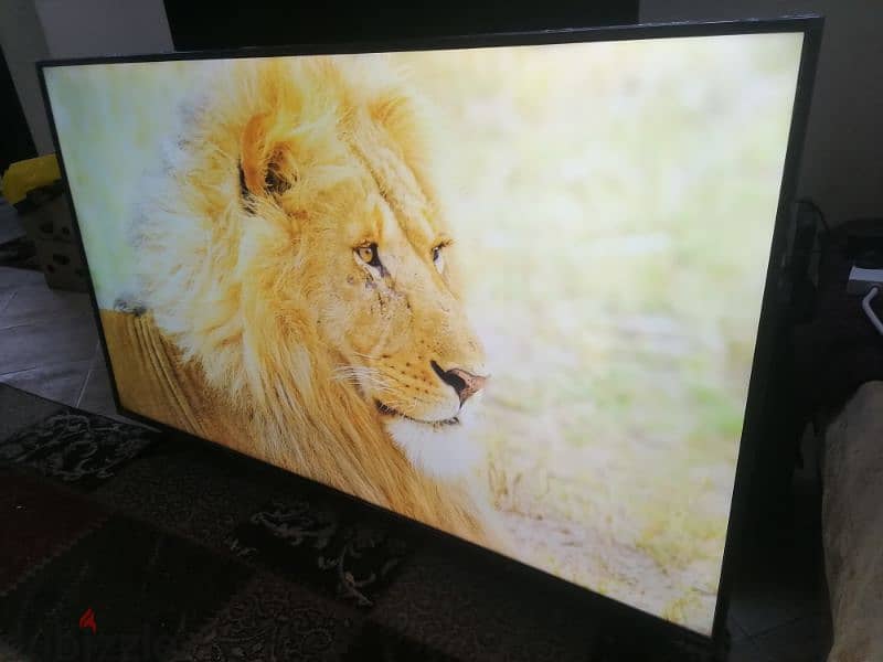 brand haisins 65 inch ultra 4k 3